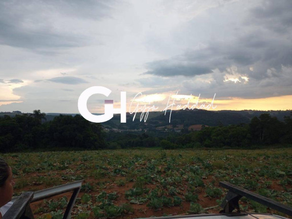 Imagem Terreno à Venda, 10 m² em Colégio - Ibiúna Imagem Terreno à Venda, 10 m² em Colégio - Ibiúna
