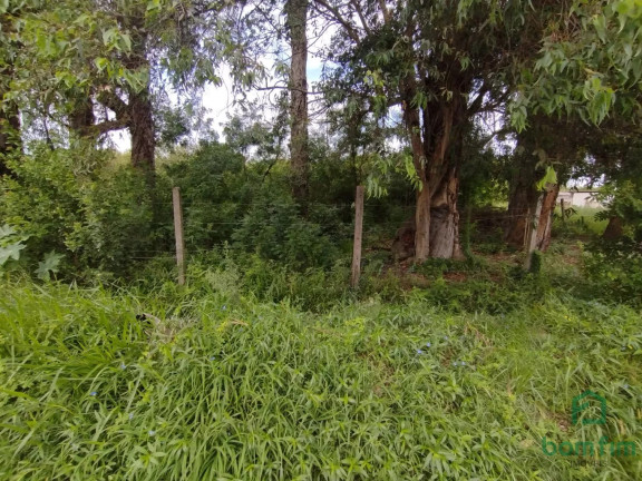 Imagem Terreno para Alugar, 2.500 m² em Ponta Grossa - Porto Alegre Imagem Terreno para Alugar, 2.500 m² em Ponta Grossa - Porto Alegre