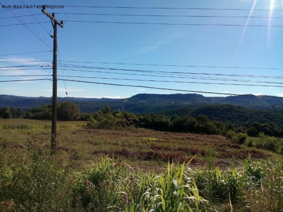 Imagem Terreno à Venda, 1 m² em Linha Araripe - Nova Petrópolis Imagem Terreno à Venda, 1 m² em Linha Araripe - Nova Petrópolis