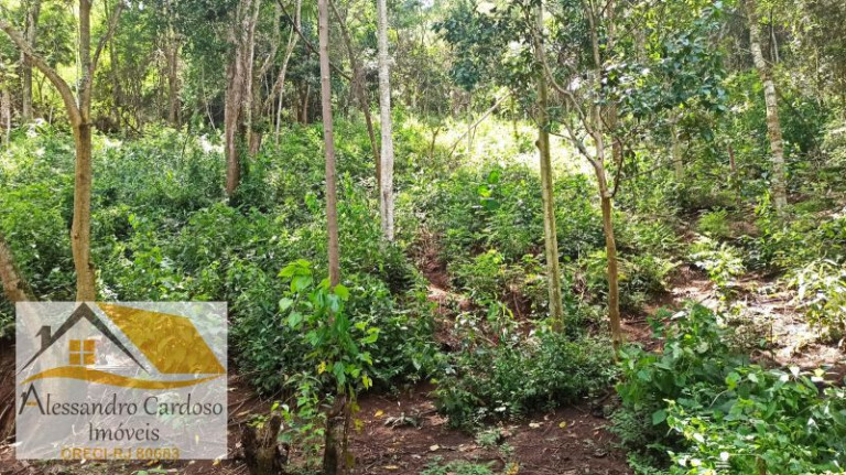 Imagem Terreno à Venda, 1.570 m² em Parque Dom João Vi - Nova Friburgo