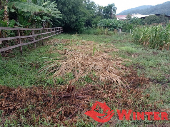 Imagem Terreno à Venda, 360 m² em Centro - Tupandi Imagem Terreno à Venda, 360 m² em Centro - Tupandi