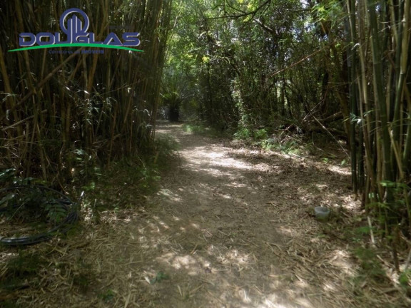 Imagem Imóvel Comercial à Venda, em Viamão Imagem Imóvel Comercial à Venda, em Viamão