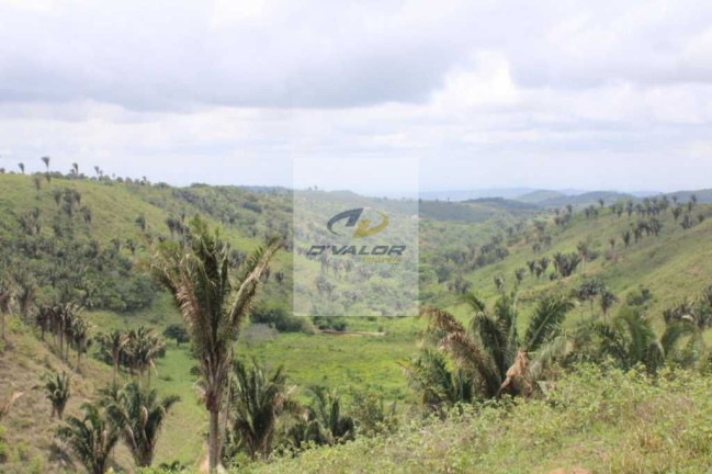 Imagem Terreno à Venda, 880 m² em Maia - Bananeiras Imagem Terreno à Venda, 880 m² em Maia - Bananeiras