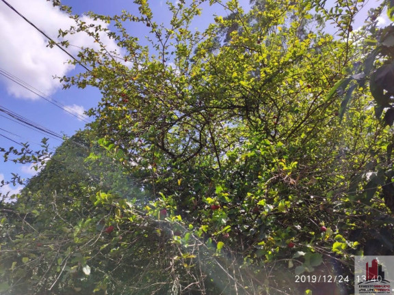 Imagem Fazenda à Venda, 200 m² em Aldeia Dos Camarás - Camaragibe Imagem Fazenda à Venda, 200 m² em Aldeia Dos Camarás - Camaragibe