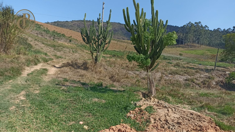Imagem Chácara com 3 Quartos à Venda, 300 m² em Lageado - Paraibuna Imagem Chácara com 3 Quartos à Venda, 300 m² em Lageado - Paraibuna