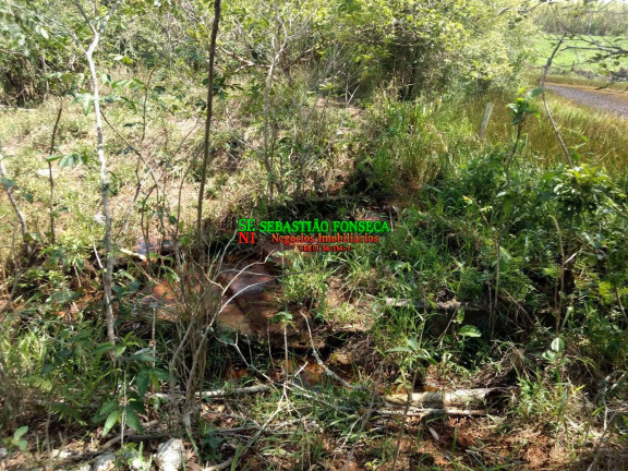 Imagem Chácara à Venda, 5 m² em Sob. Consulta - Caçapava Imagem Chácara à Venda, 5 m² em Sob. Consulta - Caçapava