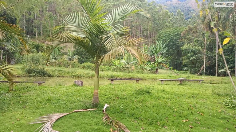 Imagem Chácara à Venda, 30.000 m² em Zona Rural - Adrianópolis Imagem Chácara à Venda, 30.000 m² em Zona Rural - Adrianópolis