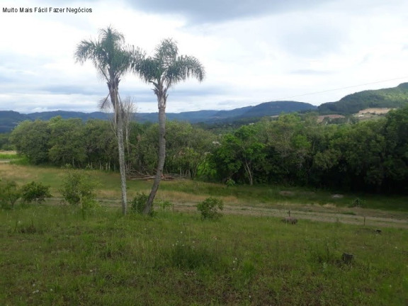 Imagem Terreno à Venda, 150 m² em Linha Araripe - Nova Petrópolis