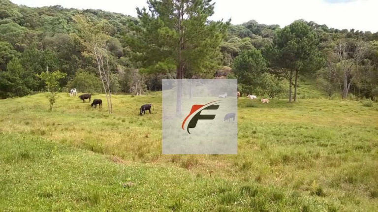 Imagem Chácara com 3 Quartos à Venda, 242.000 m² em Centro - Lapa