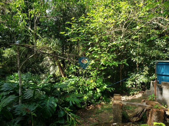 Imagem Terreno à Venda, 28.000 m² em Centro (caucaia Do Alto) - Cotia