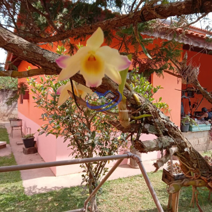 Imagem Chácara com 2 Quartos à Venda, 1.195 m² em Estância Santa Lúcia - Jarinu