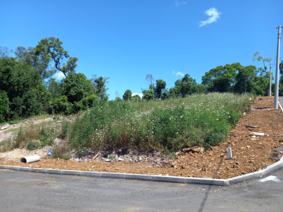 Imagem Terreno à Venda, 240 m² em Sao Joao - Bento Gonçalves Imagem Terreno à Venda, 240 m² em Sao Joao - Bento Gonçalves