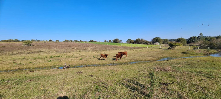 Imagem Chácara com 1 Quarto à Venda, 108.000 m² em Itapuã - Viamão