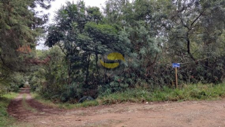 Imagem Terreno à Venda, 6.000 m² em Jardim Colibri - Cotia Imagem Terreno à Venda, 6.000 m² em Jardim Colibri - Cotia
