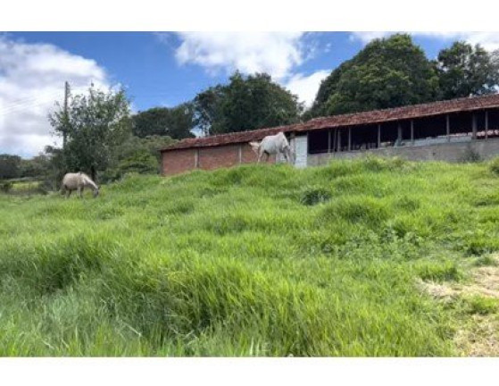 Imagem Imóvel à Venda, 8.000 m² em área Rural De Bauru - Bauru