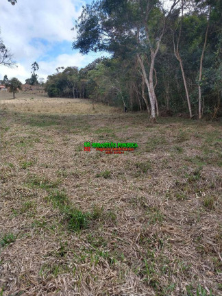 Imagem Chácara à Venda, 6.000 m² em Bairro Dos Pinheiros - Natividade Da Serra Imagem Chácara à Venda, 6.000 m² em Bairro Dos Pinheiros - Natividade Da Serra
