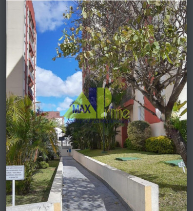 Imagem Apartamento com 3 Quartos à Venda, 65 m² em Vila Araguaia - São Paulo Imagem Apartamento com 3 Quartos à Venda, 65 m² em Vila Araguaia - São Paulo