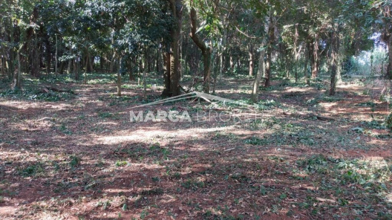 Imagem Fazenda à Venda, 35.000 m² em Floresta - Monte Santo De Minas Imagem Fazenda à Venda, 35.000 m² em Floresta - Monte Santo De Minas