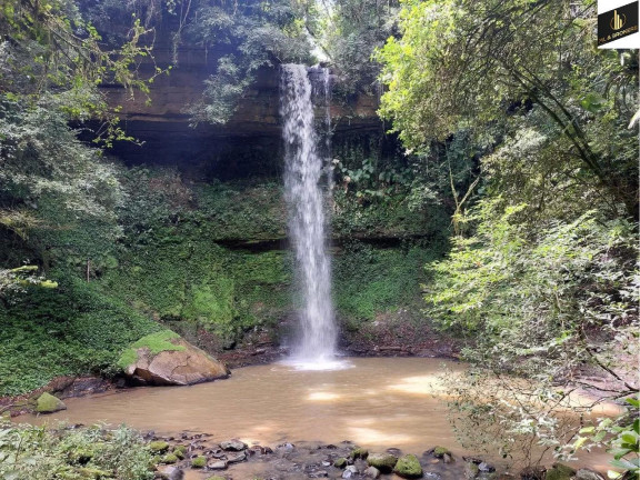 Imagem Imóvel com 4 Quartos à Venda, 30.000 m² em Zona Rural - Vidal Ramos
