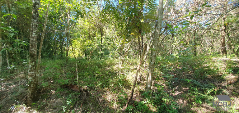 Imagem Terreno à Venda, 13 m² em área Rural De Esmeraldas - Esmeraldas Imagem Terreno à Venda, 13 m² em área Rural De Esmeraldas - Esmeraldas