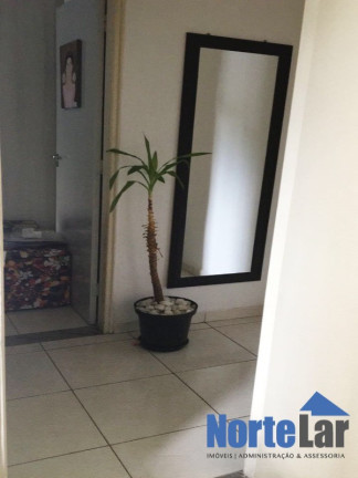 Imagem Apartamento com 2 Quartos à Venda, 50 m² em Vila Jaraguá - São Paulo