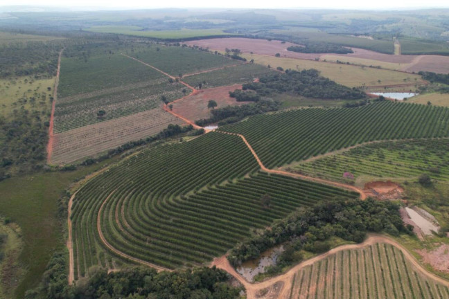 Imagem Fazenda à Venda, 41.140.000 m² em Zona Rural - Angatuba Imagem Fazenda à Venda, 41.140.000 m² em Zona Rural - Angatuba