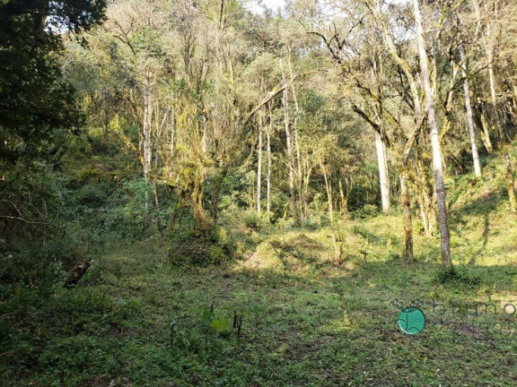 Imagem Imóvel com 1 Quarto à Venda, 72.000 m² em Interior - Bom Retiro