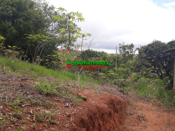 Imagem Chácara à Venda, 750 m² em Sob. Consulta - Paraibuna Imagem Chácara à Venda, 750 m² em Sob. Consulta - Paraibuna