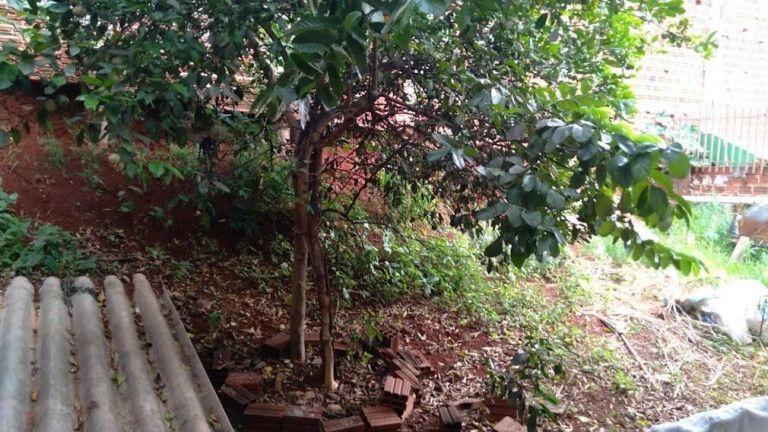 Imagem Casa com 2 Quartos à Venda, 200 m² em Jardim Diamante - Maringá