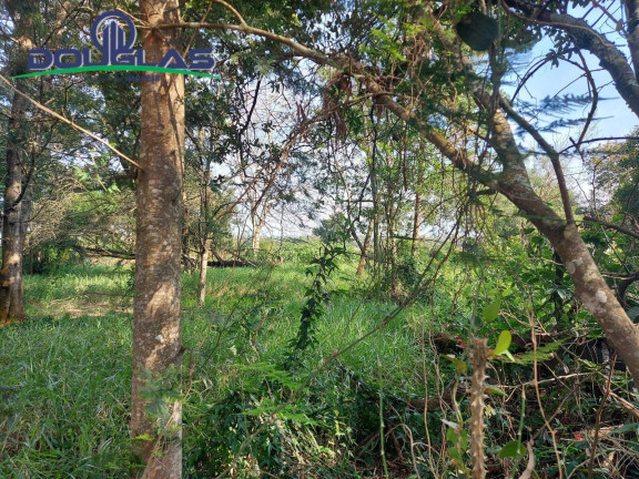 Imagem Terreno à Venda, 700 m² em Viamão Imagem Terreno à Venda, 700 m² em Viamão