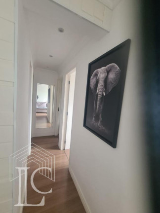Imagem Apartamento com 3 Quartos à Venda, 73 m² em Jardim Marajoara - São Paulo