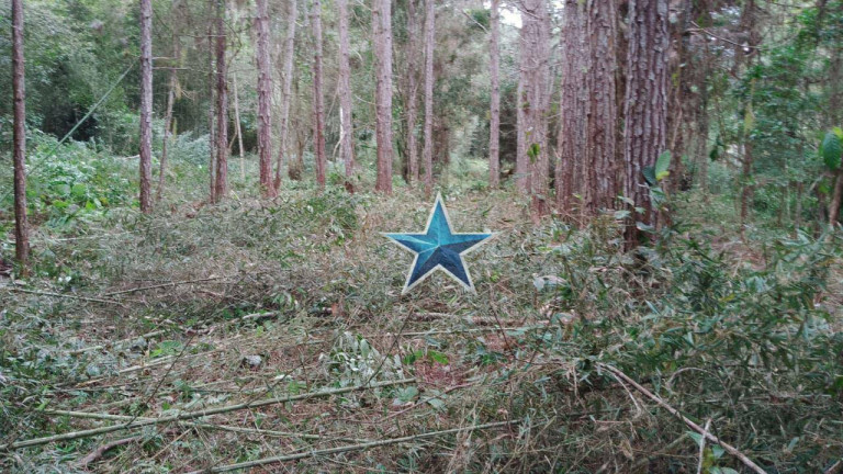 Imagem Imóvel à Venda, 74.000 m² em Fazenda Vitoria - São Lourenço Da Serra