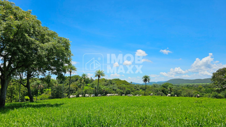 Imóvel com 2 Quartos à Venda, 264 m² em área Rural De Formosa - Formosa