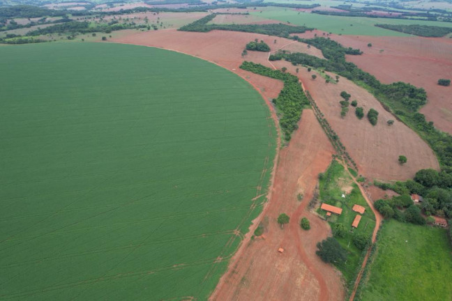 Imagem Fazenda à Venda, 60 m² em Zona Rural - Morrinhos Imagem Fazenda à Venda, 60 m² em Zona Rural - Morrinhos