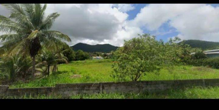 Imagem Terreno à Venda, 7.250 m² em Jardim Adalberto Alves - Maricá
