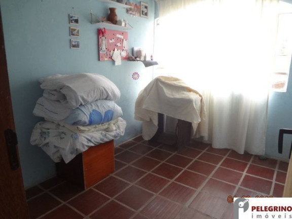 Imagem Imóvel com 3 Quartos à Venda, 45.000 m² em Zona Rural - Sentinela Do Sul Imagem Imóvel com 3 Quartos à Venda, 45.000 m² em Zona Rural - Sentinela Do Sul