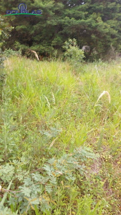 Imagem Terreno à Venda, em águas Claras - Viamão Imagem Terreno à Venda, em águas Claras - Viamão