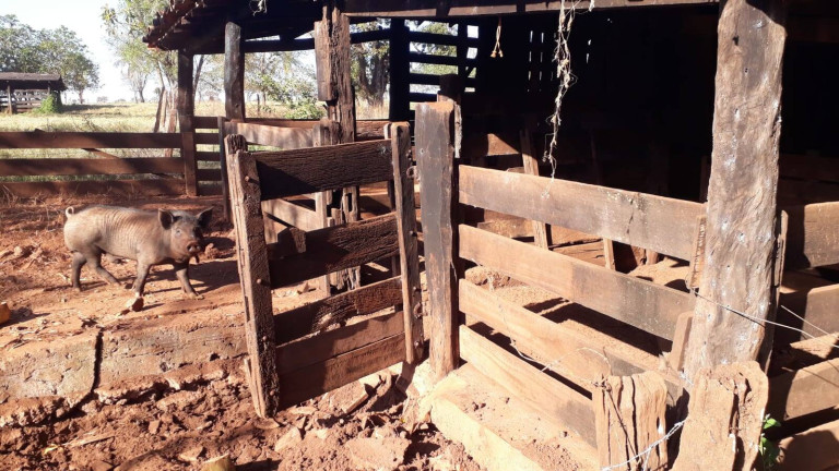 Imagem Fazenda à Venda, 314 m² em Zona Rural - Ituiutaba Imagem Fazenda à Venda, 314 m² em Zona Rural - Ituiutaba