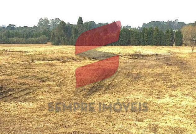 Imagem Terreno à Venda, 20.047 m² em Roseira - São José Dos Pinhais Imagem Terreno à Venda, 20.047 m² em Roseira - São José Dos Pinhais