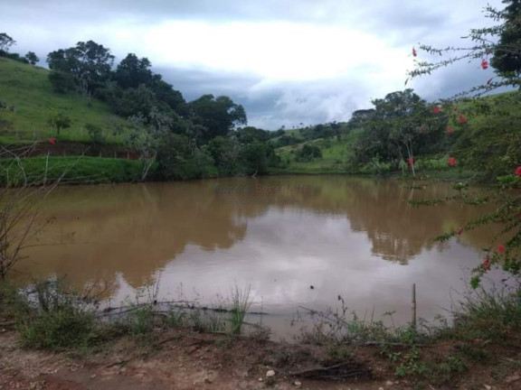 Imagem Imóvel com 15 Quartos à Venda, 2.783.000 m² em Vila Pantaleão - Caçapava Imagem Imóvel com 15 Quartos à Venda, 2.783.000 m² em Vila Pantaleão - Caçapava