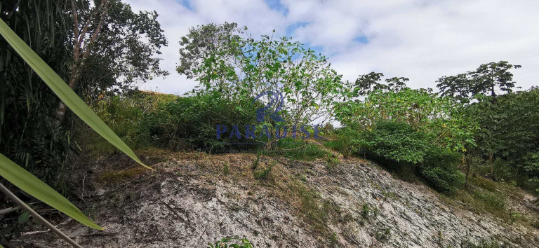 Imagem Terreno à Venda, 700 m² em Praia Do Forte - Mata De São João Imagem Terreno à Venda, 700 m² em Praia Do Forte - Mata De São João