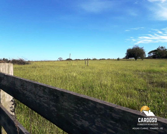 Imagem Imóvel com 5 Quartos à Venda, 50.000 m² em águas Claras - Viamão