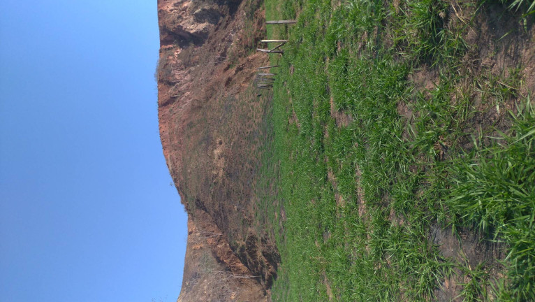 Imagem Terreno à Venda, 4 m² em Itakamosi - Vassouras Imagem Terreno à Venda, 4 m² em Itakamosi - Vassouras