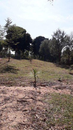 Imagem Imóvel com 1 Quarto à Venda, 65 m² em Colonia Mariental - Lapa