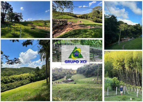 Imagem Fazenda à Venda, 115.000 m² em Piedade - Piedade Imagem Fazenda à Venda, 115.000 m² em Piedade - Piedade