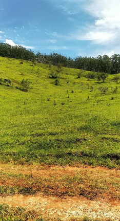 Imagem Chácara à Venda, 55.189 m² em Registro - Taubaté Imagem Chácara à Venda, 55.189 m² em Registro - Taubaté