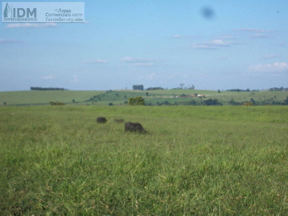 Imagem Chácara à Venda, 2.980.000 m² em Centro - Santana Do Itararé