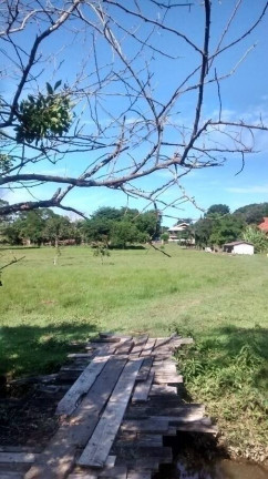 Imagem Chácara à Venda, 4.800 m² em São João Do Rio Vermelho - Florianópolis Imagem Chácara à Venda, 4.800 m² em São João Do Rio Vermelho - Florianópolis