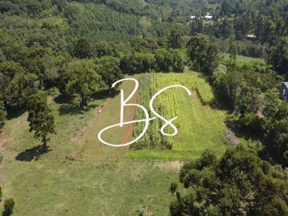 Imagem Imóvel com 2 Quartos à Venda,  em Lago São Bernardo - São Francisco De Paula