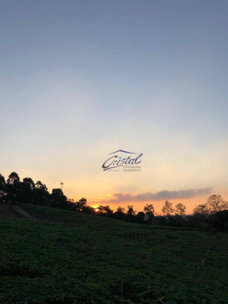 Imagem Casa com 4 Quartos à Venda, 249 m² em Granja Viana - Cotia Imagem Casa com 4 Quartos à Venda, 249 m² em Granja Viana - Cotia